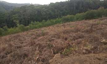 Imagem 7: Área de 1 alqueire com nascente