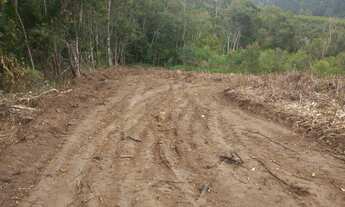 Imagem 5: Área de 1 alqueire com nascente