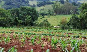 Imagem: Chácara em Brazopolis