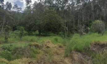 Imagem 4: Sítio em Paraibuna