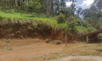 Imagem 3: Sítio em Paraibuna