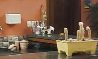 Imagem 3: Capela do Barreiro - Chácara de alto padrão em Itatiba