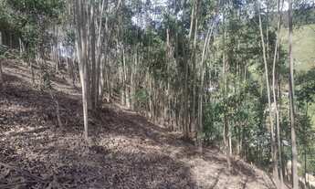 Imagem 7: Chácara com lago em Salesópolis