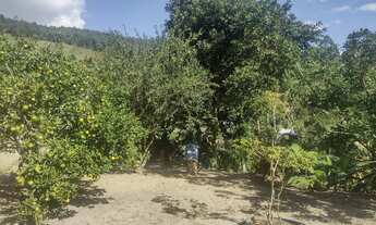 Imagem 6: Chácara com lago em Salesópolis