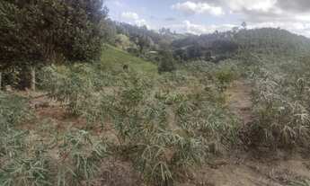 Imagem 2: Chácara com lago em Salesópolis