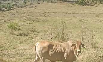 Imagem 3: Sítio em Jacareí