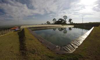 Imagem: Sítio em São Simão