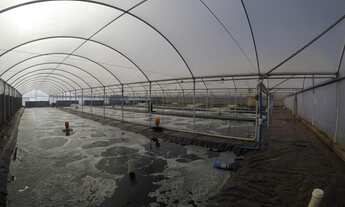 Imagem 6: Sítio em São Simão