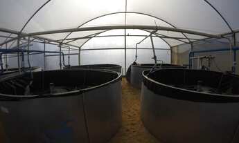 Imagem 3: Sítio em São Simão