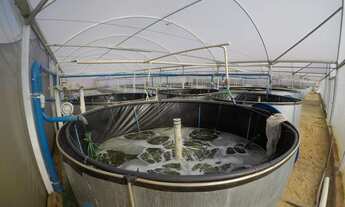 Imagem 7: Sítio em São Simão