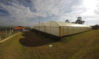 Imagem 2: Sítio em São Simão