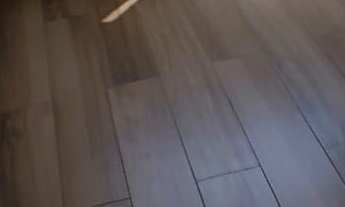 Imagem 5: Apartamento gardem no Blue View