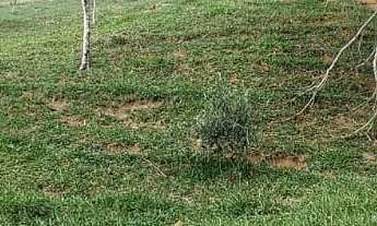 Imagem: Terreno 1100 m²