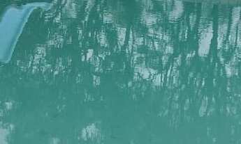 Imagem: Lindo sítio em Santa Isabel 4 alqueires