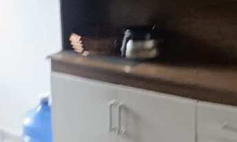 Imagem 4: Apartamento para alugar no bairro Residencial Ana Maria - São José dos Campos/SP, leste