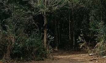 Imagem 3: Oportunidade no Pousada do Vale