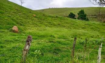 Imagem 6: Fazenda em Lorena