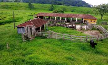Imagem 3: Fazenda em Lorena