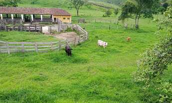 Imagem 2: Fazenda em Lorena
