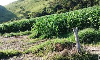 Imagem 4: Sítio com 23 alqueires em São Luiz do Paraitinga