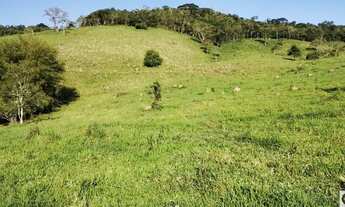 Imagem: Sítio com 23 alqueires em São Luiz do