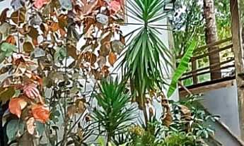 Imagem: Chácara em Paraibuna