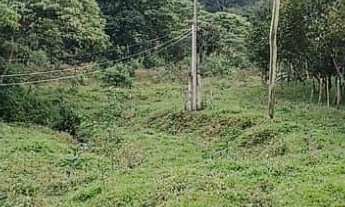 Imagem 5: Fazenda com mata nativa e cachoeiras