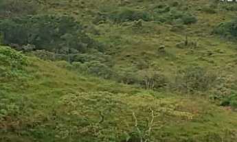 Imagem 2: Fazenda com mata nativa e cachoeiras