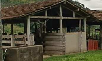 Imagem 4: Fazenda com mata nativa e cachoeiras