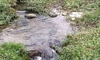 Imagem 6: Fazenda com mata nativa e cachoeiras