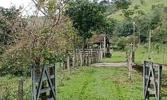 Imagem 7: Fazenda com mata nativa e cachoeiras