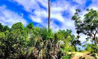 Imagem: Sítio no Jalapão