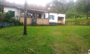 Imagem: Área com eucaliptos 29 alqueires