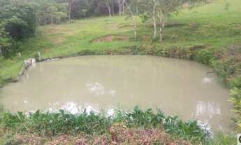 Imagem 6: Área com eucaliptos 29 alqueires