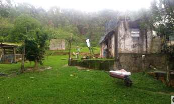 Imagem 7: Área com eucaliptos 29 alqueires