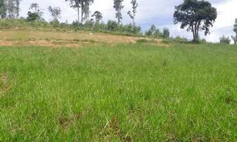 Imagem 5: Chácaras com documentação em Paraibuna-SP