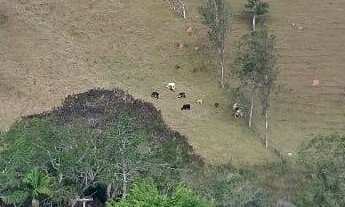 Imagem: Sítio em Lagoinha