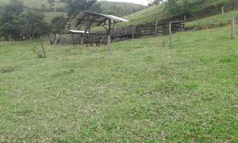 Imagem 2: Sítio com aguada boa em Pinda 13 alqueires