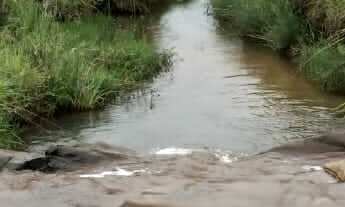 Imagem 4: Sítio com aguada boa em Pinda 13 alqueires