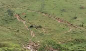 Imagem 5: Sítio com aguada boa em Pinda 13 alqueires