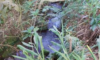 Imagem 5: Sítio em Cunha Fazenda / sítio com 2 dormitórios