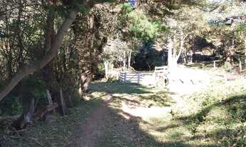 Imagem 4: Sítio em Cunha Fazenda / sítio com 2 dormitórios