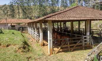 Imagem 4: Fazenda com 54 alqueires em Guaratinguetá