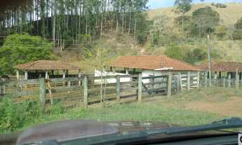 Imagem 3: Fazenda com 54 alqueires em Guaratinguetá