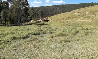 Imagem: Sítio lindo em Cunha