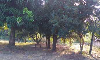 Imagem: Lote no Santa Herminia 1561 m²