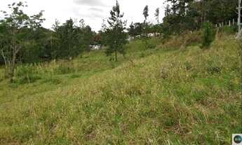 Imagem: Terreno à 50 metros da Dutra