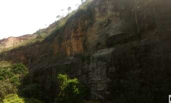 Imagem 5: Área rural de 5 alqueires em Jambeiro
