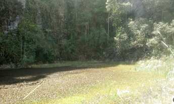 Imagem 7: Área rural de 5 alqueires em Jambeiro