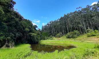 Imagem: Área de 14 alqueires em Santa Branca